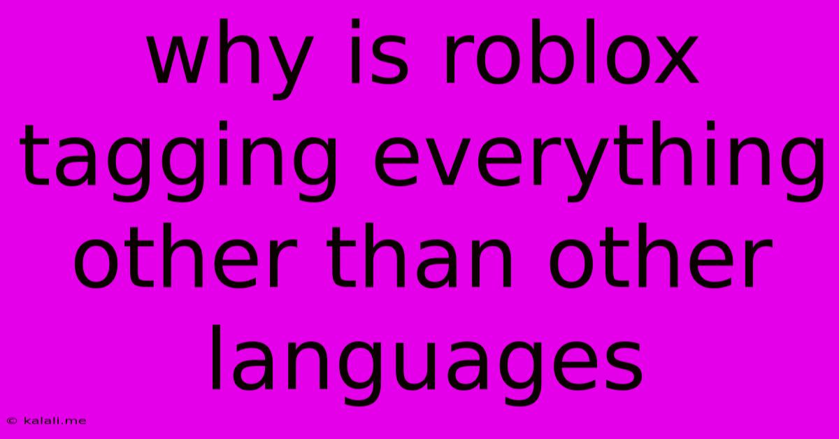 Why Is Roblox Tagging Everything Other Than Other Languages