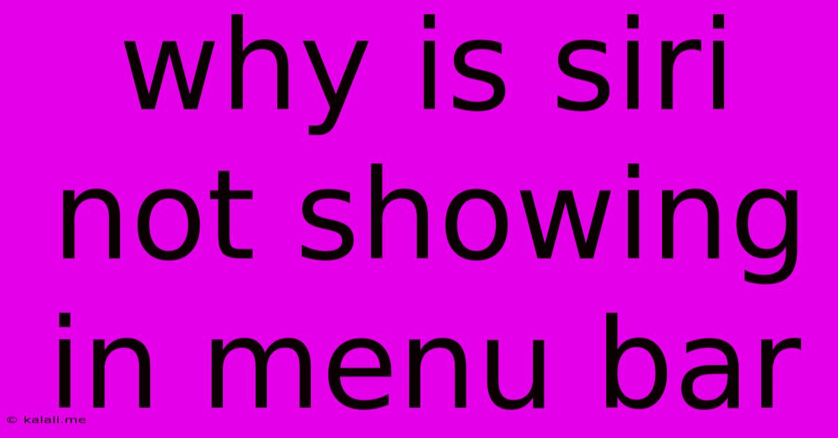 Why Is Siri Not Showing In Menu Bar