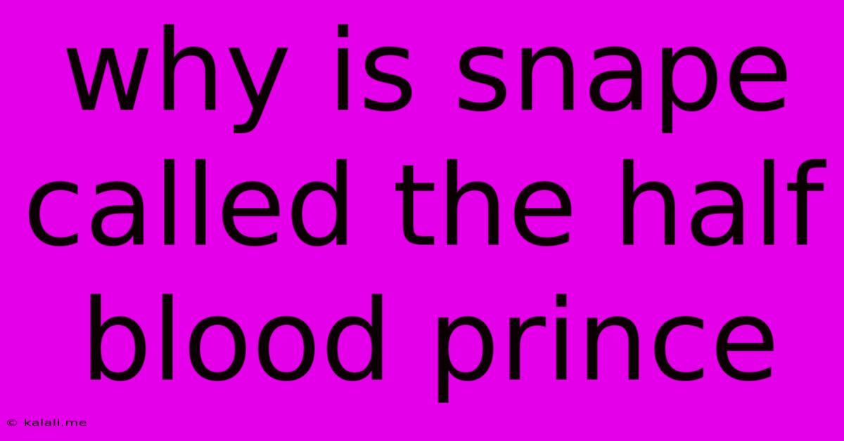 Why Is Snape Called The Half Blood Prince