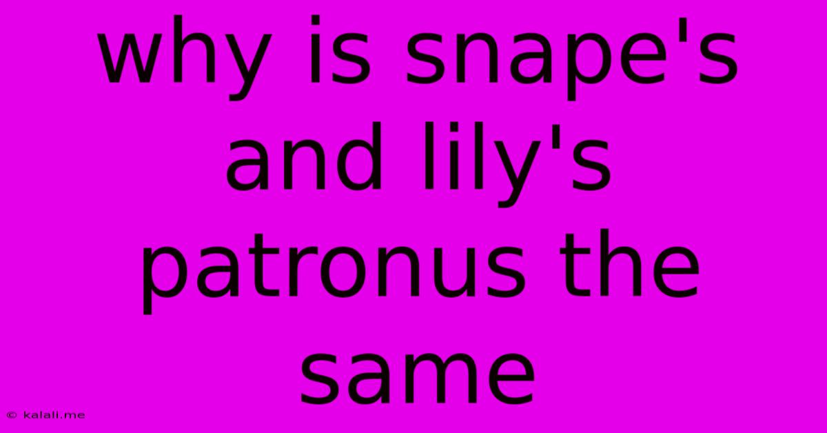 Why Is Snape's And Lily's Patronus The Same