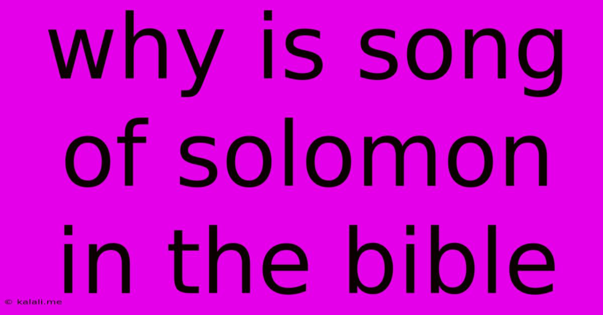 Why Is Song Of Solomon In The Bible