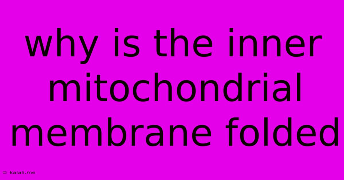 Why Is The Inner Mitochondrial Membrane Folded