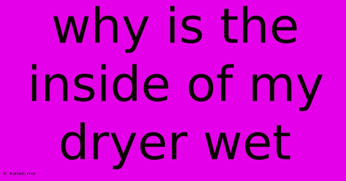 Why Is The Inside Of My Dryer Wet