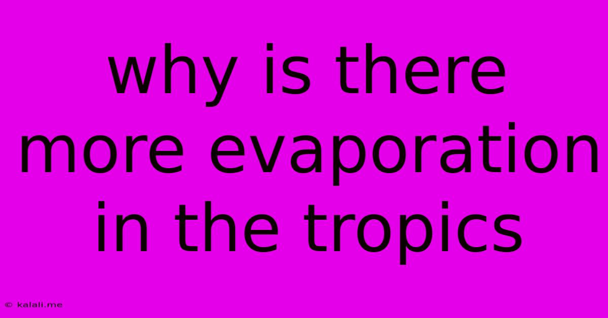 Why Is There More Evaporation In The Tropics