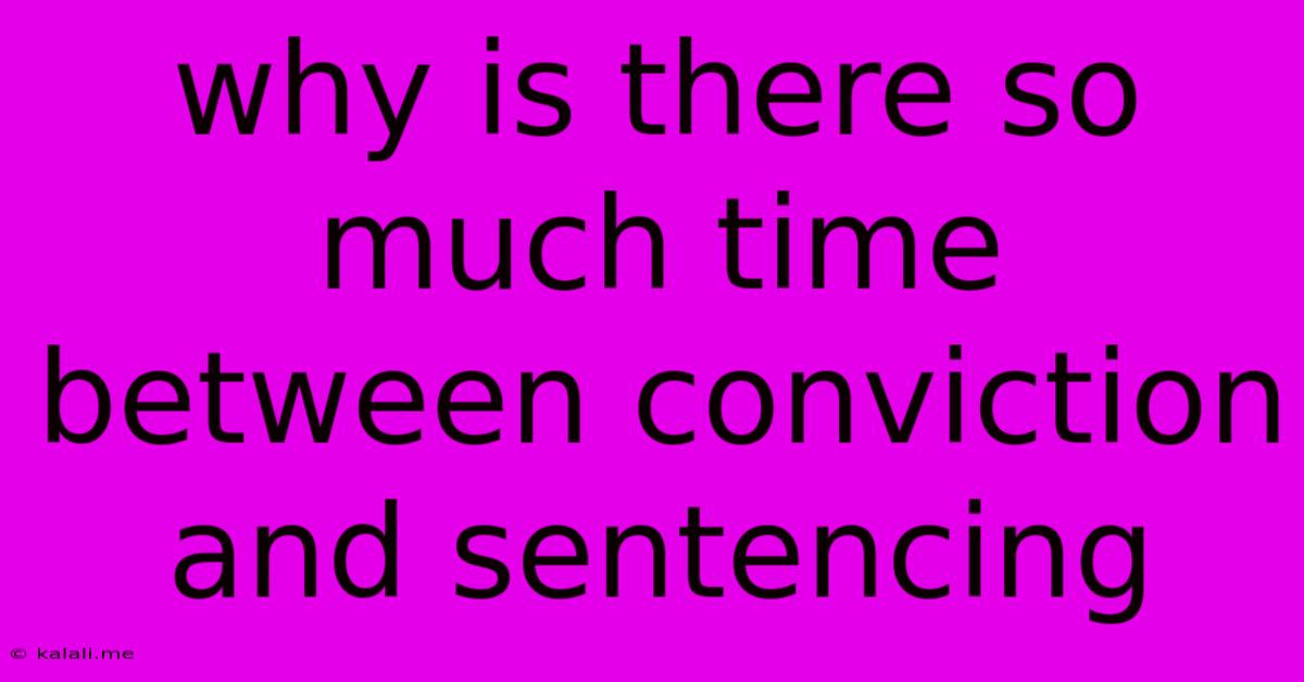 Why Is There So Much Time Between Conviction And Sentencing