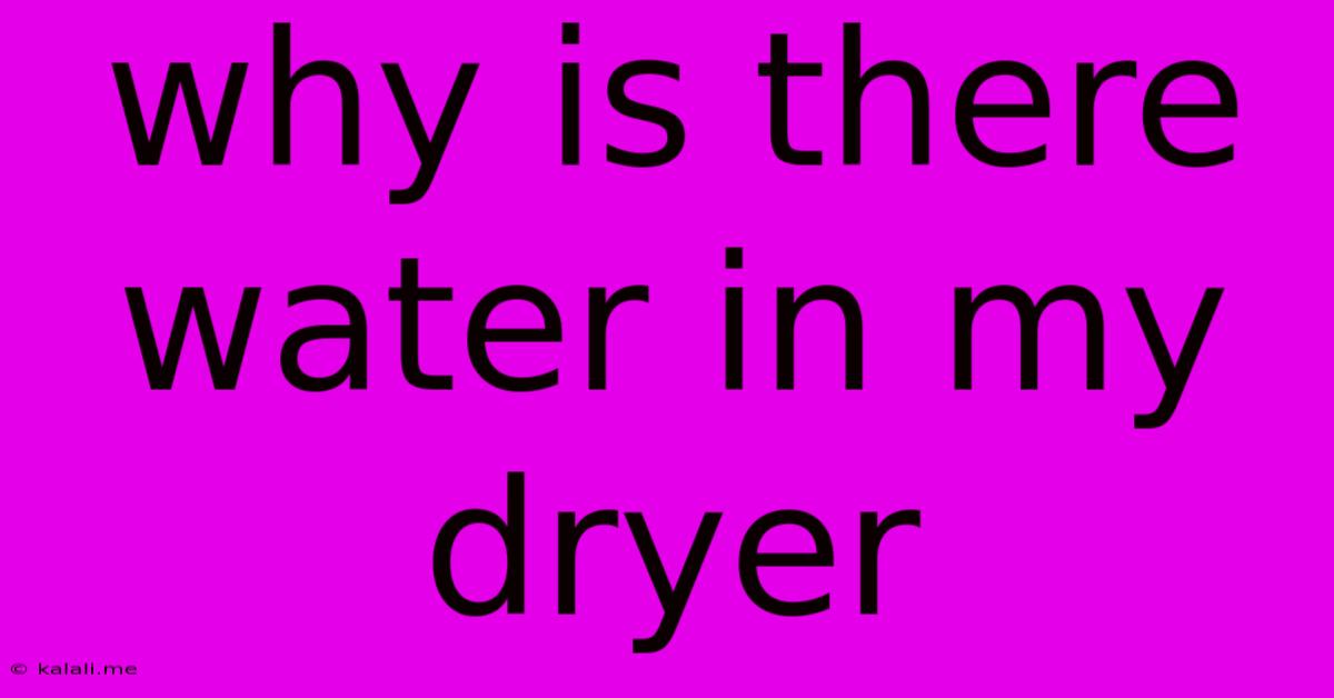 Why Is There Water In My Dryer