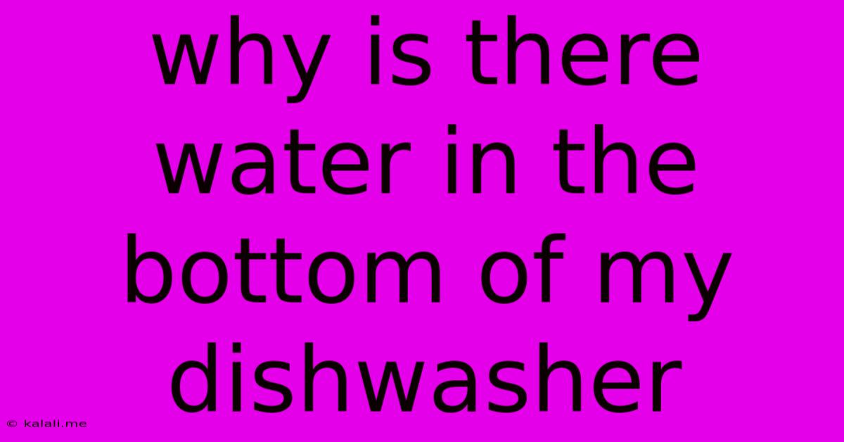 Why Is There Water In The Bottom Of My Dishwasher
