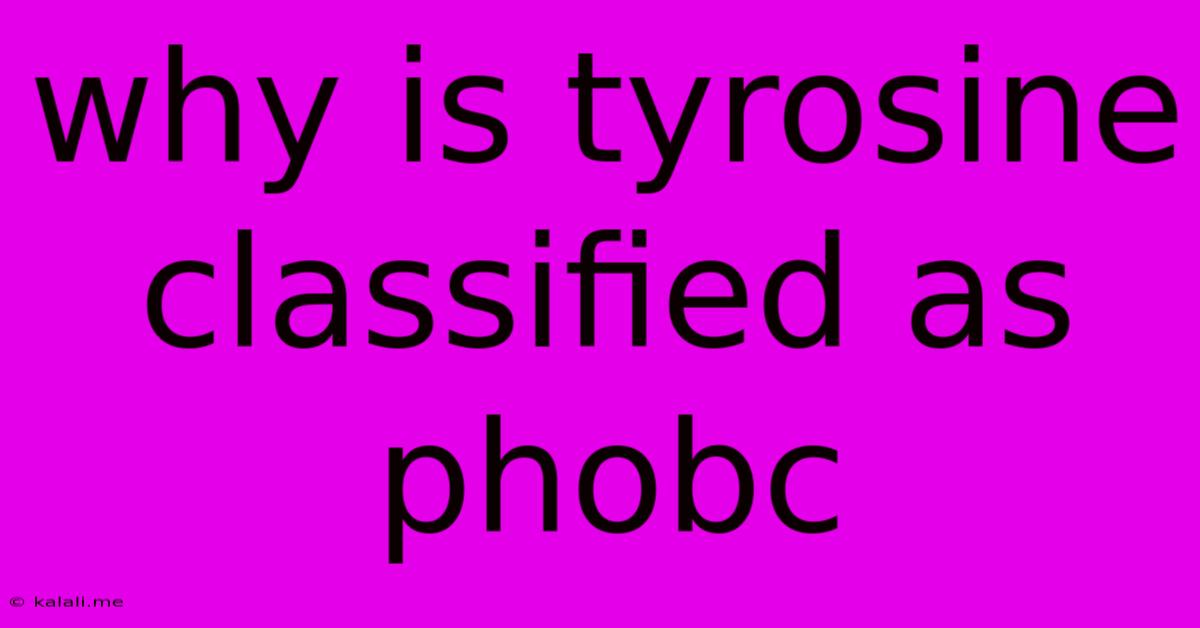 Why Is Tyrosine Classified As Phobc
