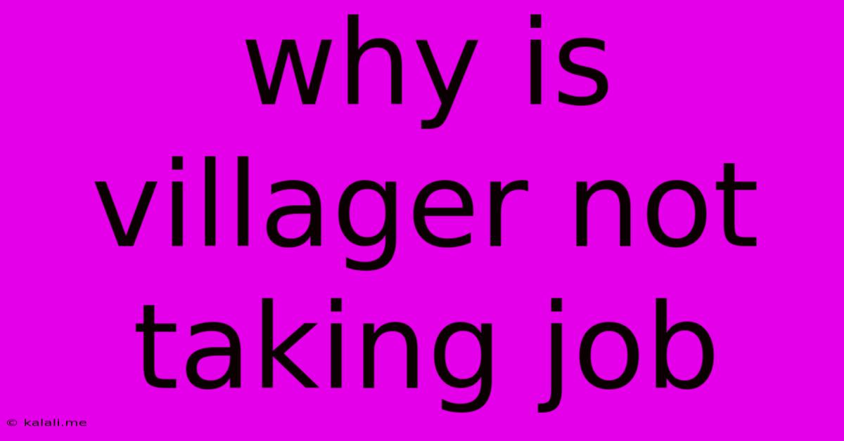 Why Is Villager Not Taking Job