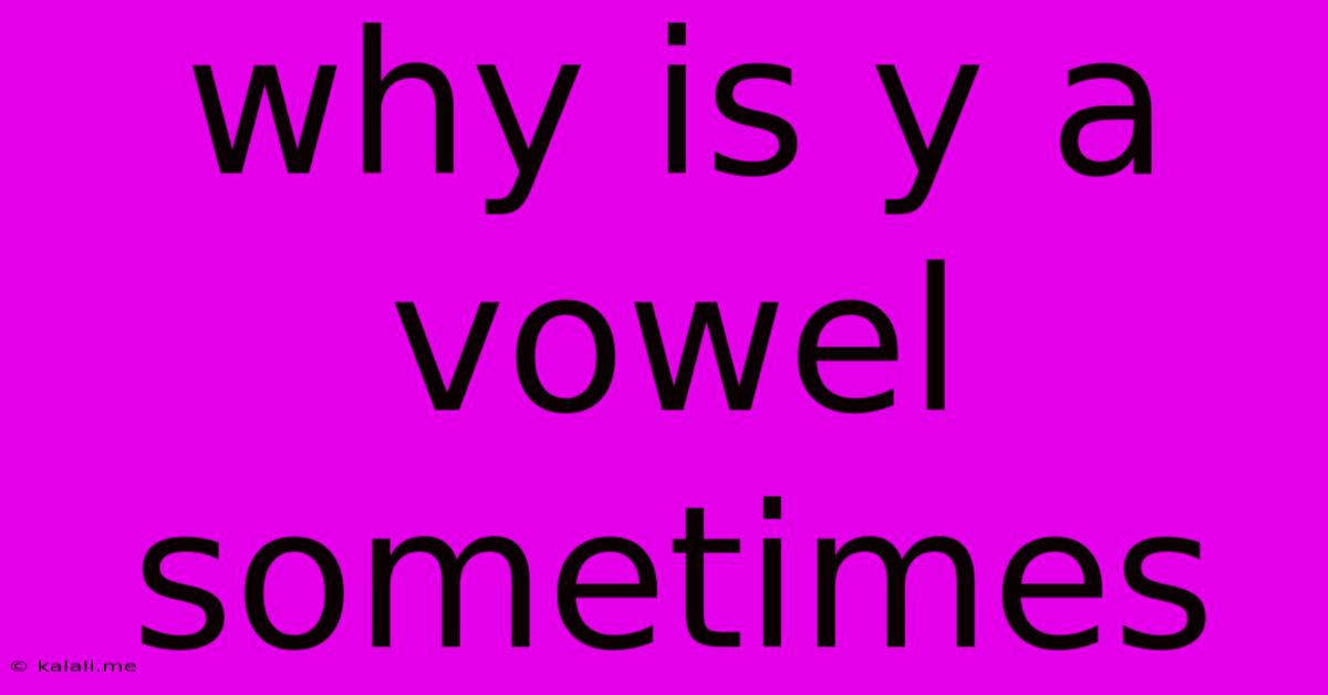 Why Is Y A Vowel Sometimes