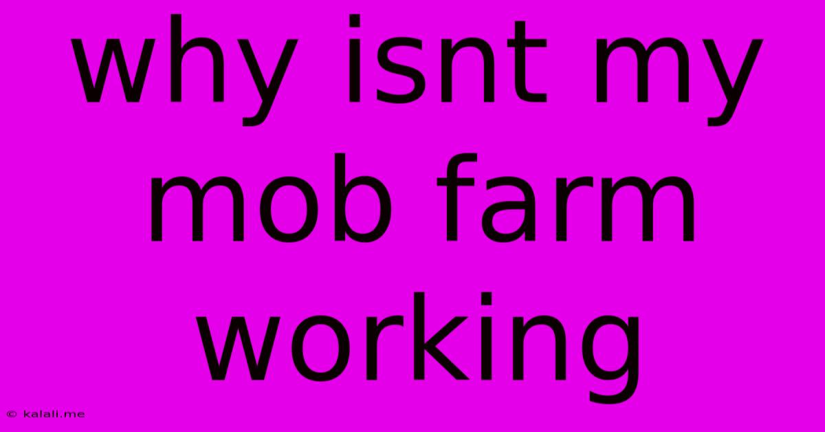 Why Isnt My Mob Farm Working