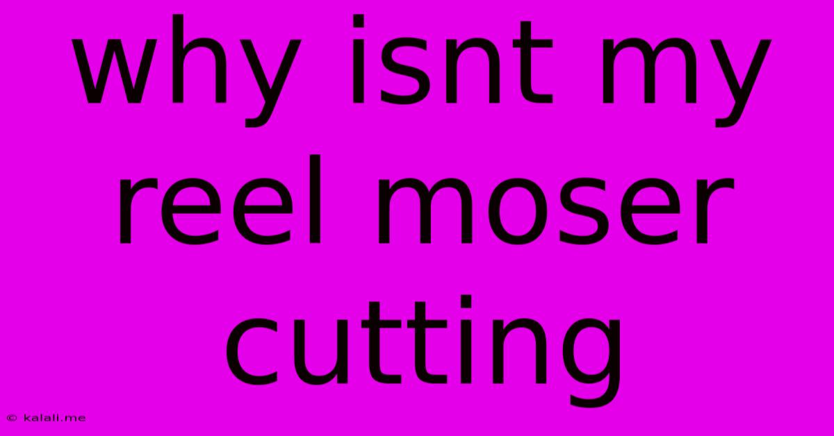 Why Isnt My Reel Moser Cutting
