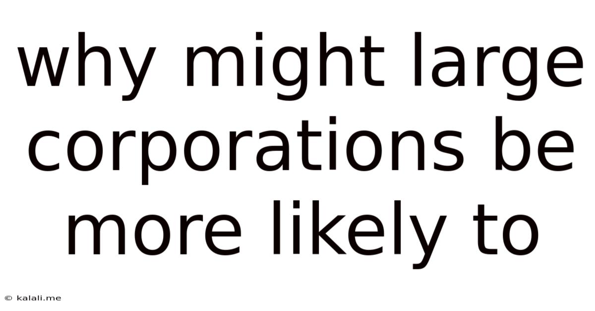 Why Might Large Corporations Be More Likely To