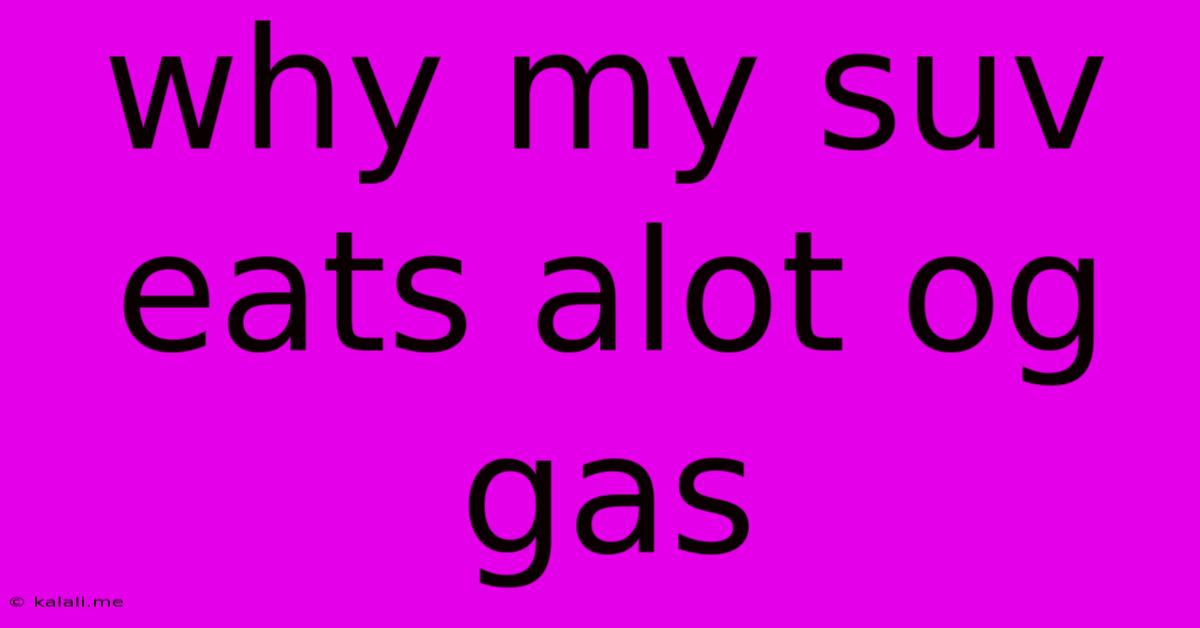 Why My Suv Eats Alot Og Gas