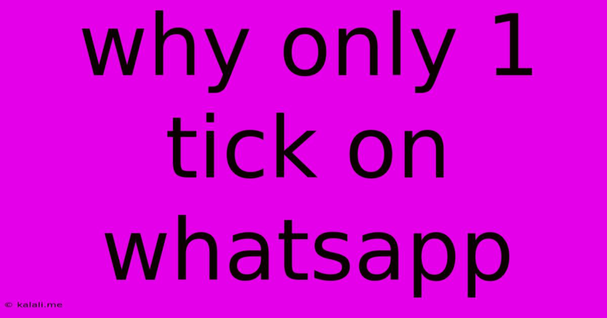 Why Only 1 Tick On Whatsapp