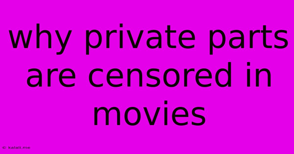 Why Private Parts Are Censored In Movies