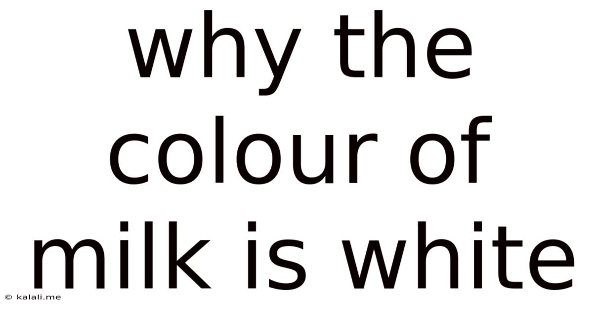 Why The Colour Of Milk Is White