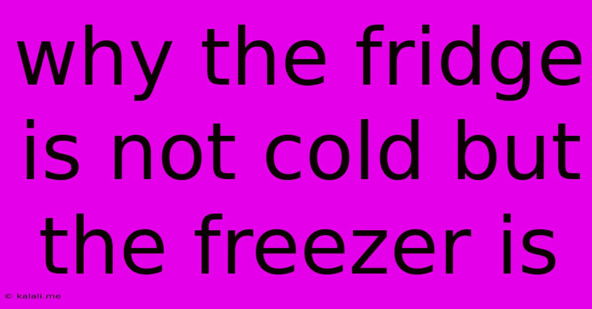 Why The Fridge Is Not Cold But The Freezer Is