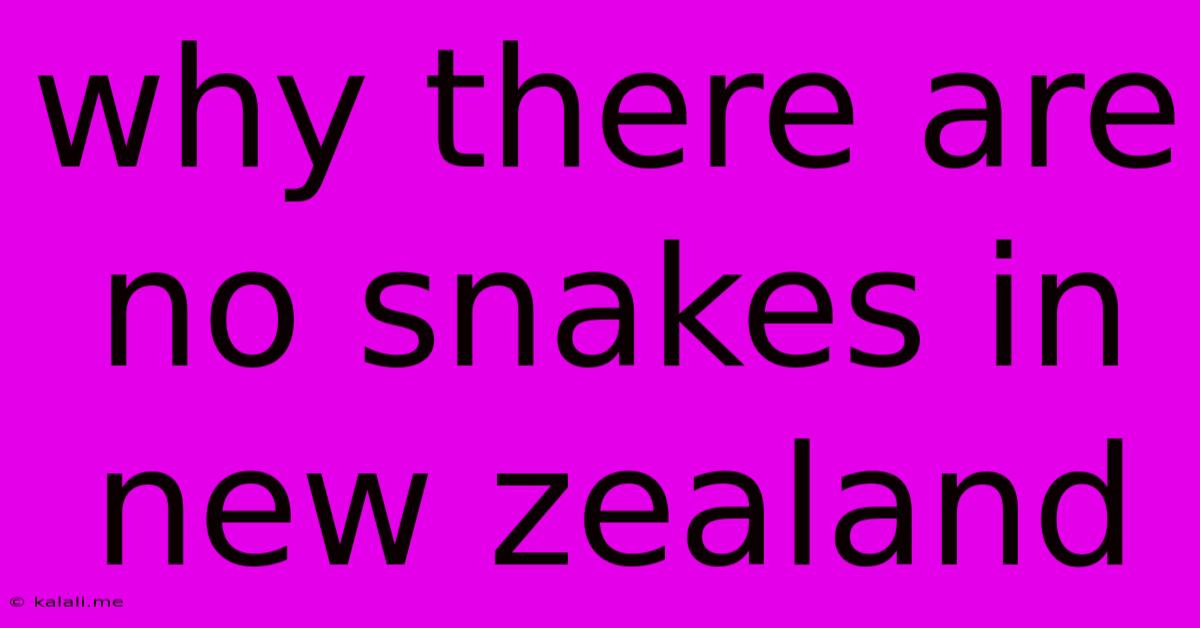 Why There Are No Snakes In New Zealand
