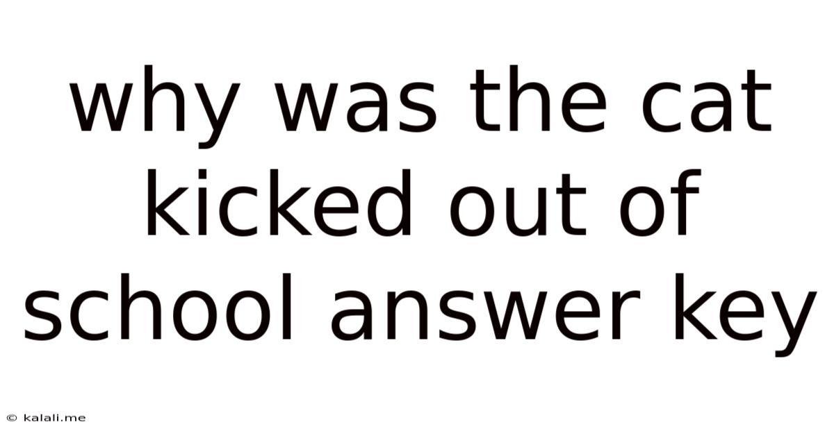 Why Was The Cat Kicked Out Of School Answer Key