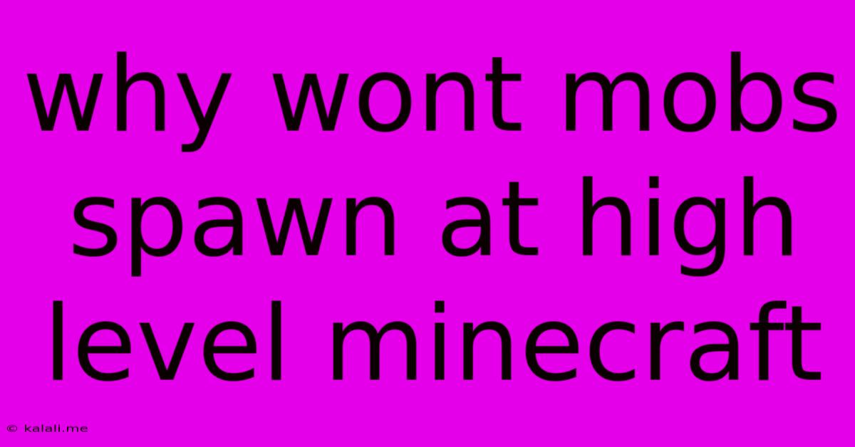 Why Wont Mobs Spawn At High Level Minecraft
