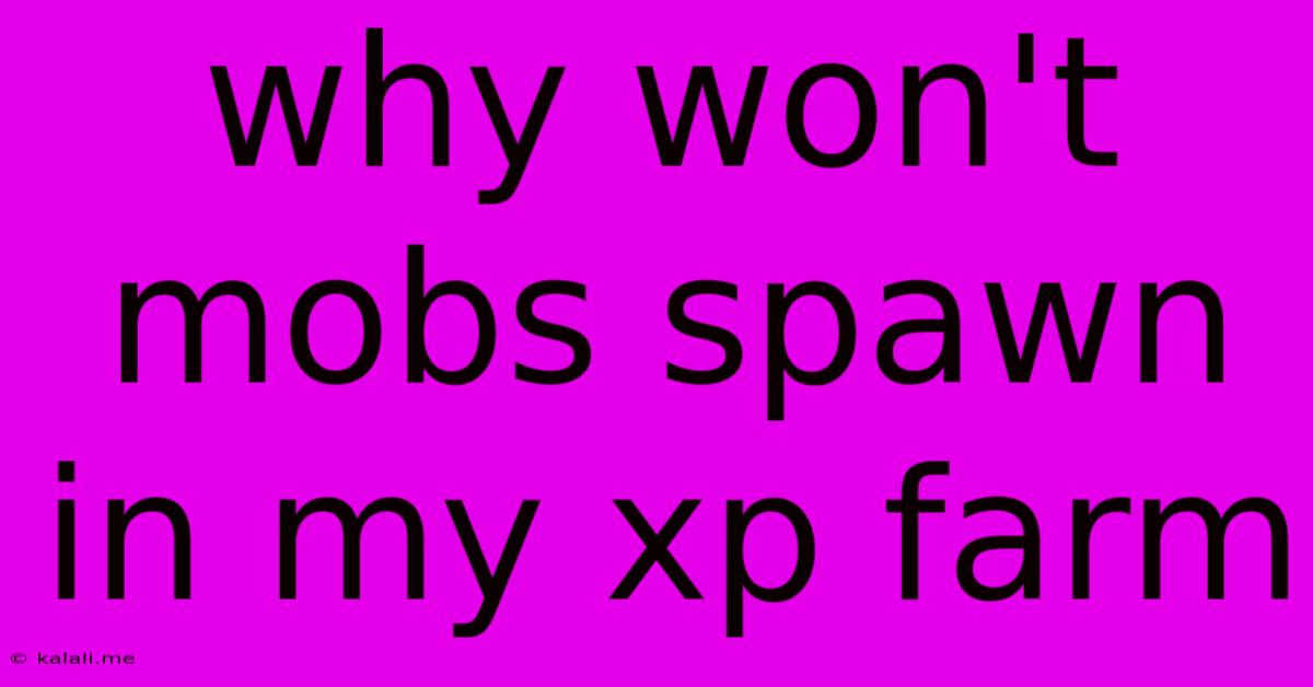 Why Won't Mobs Spawn In My Xp Farm