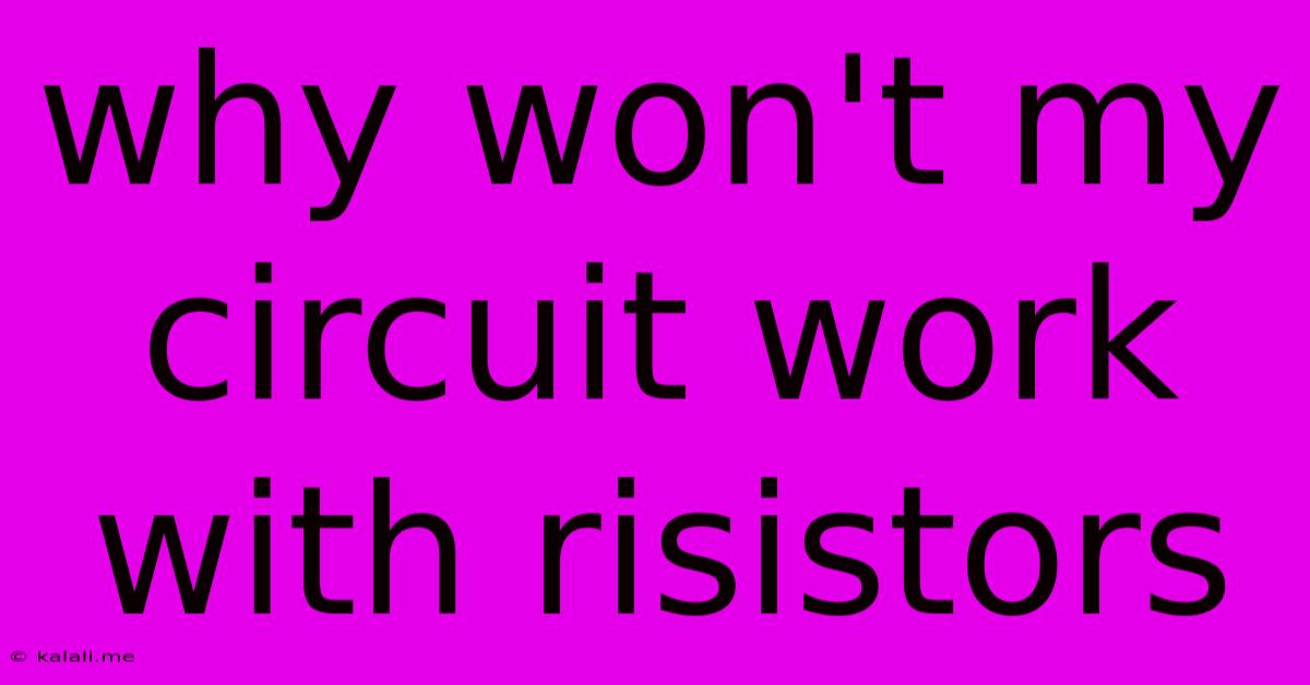 Why Won't My Circuit Work With Risistors