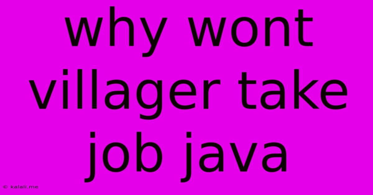 Why Wont Villager Take Job Java
