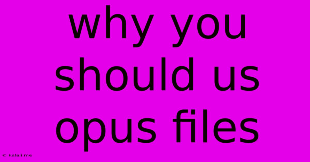 Why You Should Us Opus Files