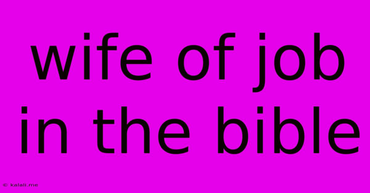 Wife Of Job In The Bible