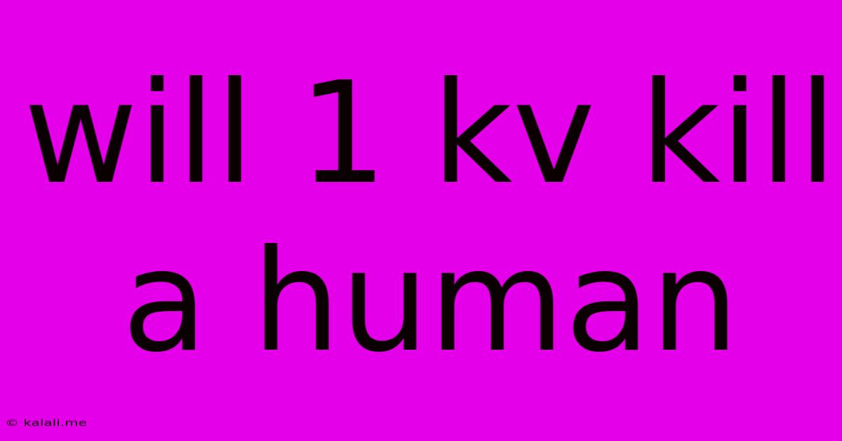 Will 1 Kv Kill A Human