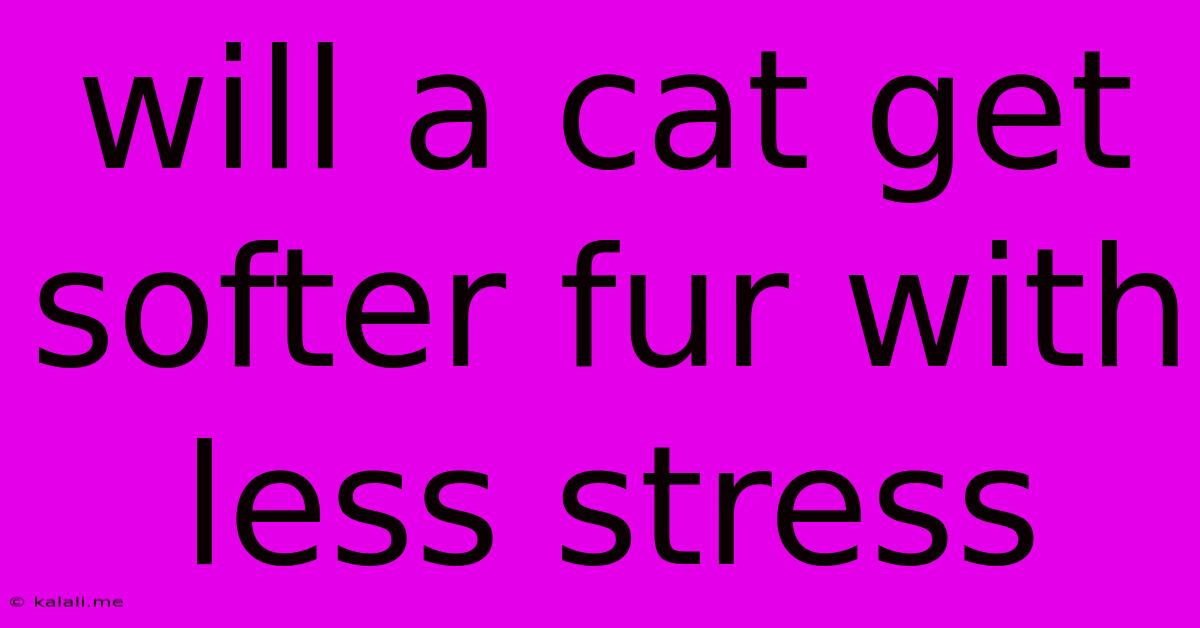 Will A Cat Get Softer Fur With Less Stress