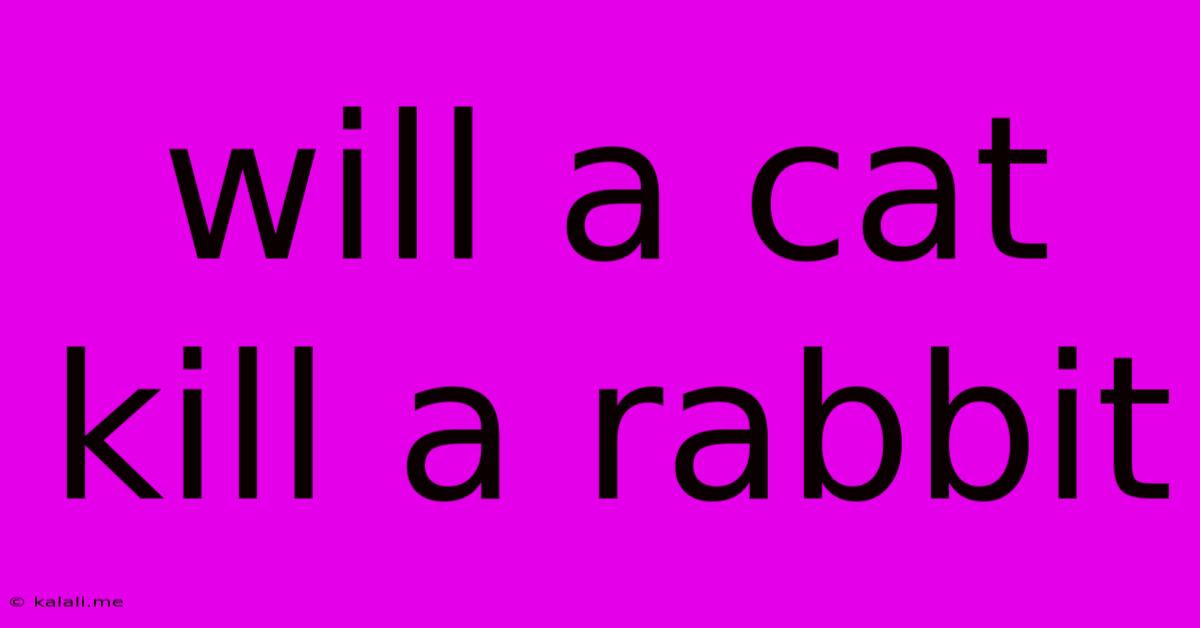 Will A Cat Kill A Rabbit
