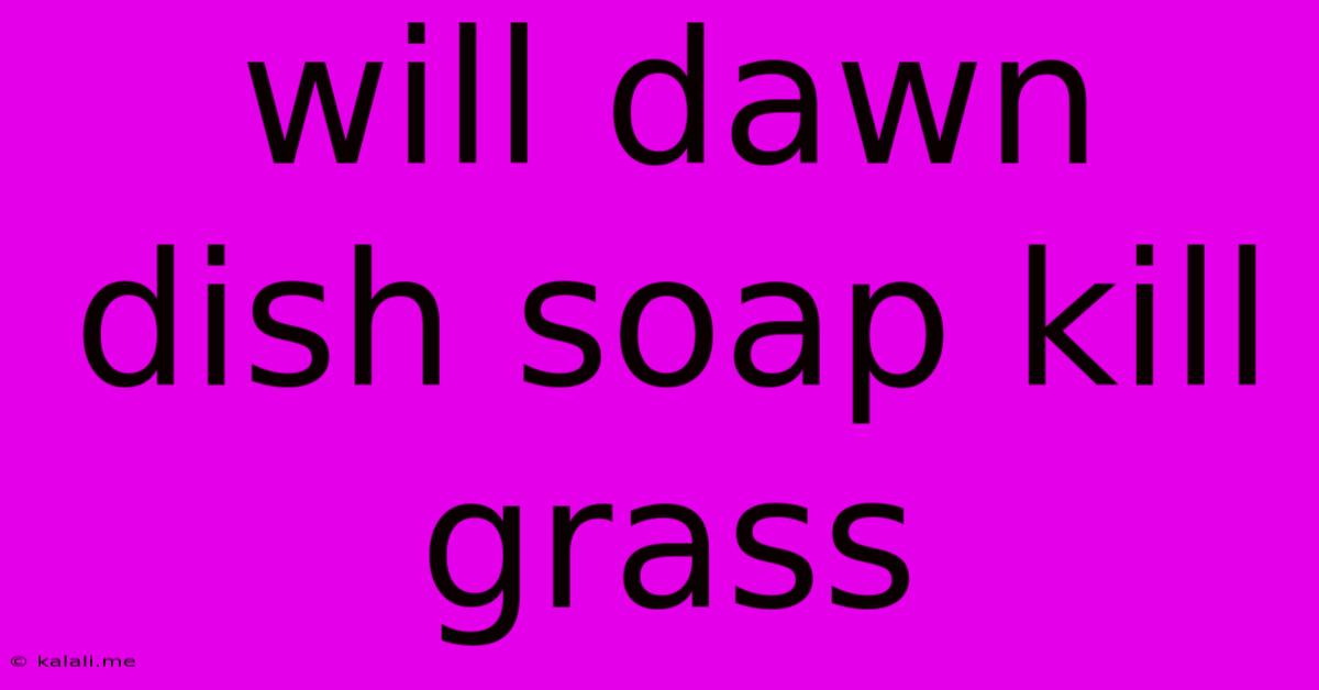Will Dawn Dish Soap Kill Grass