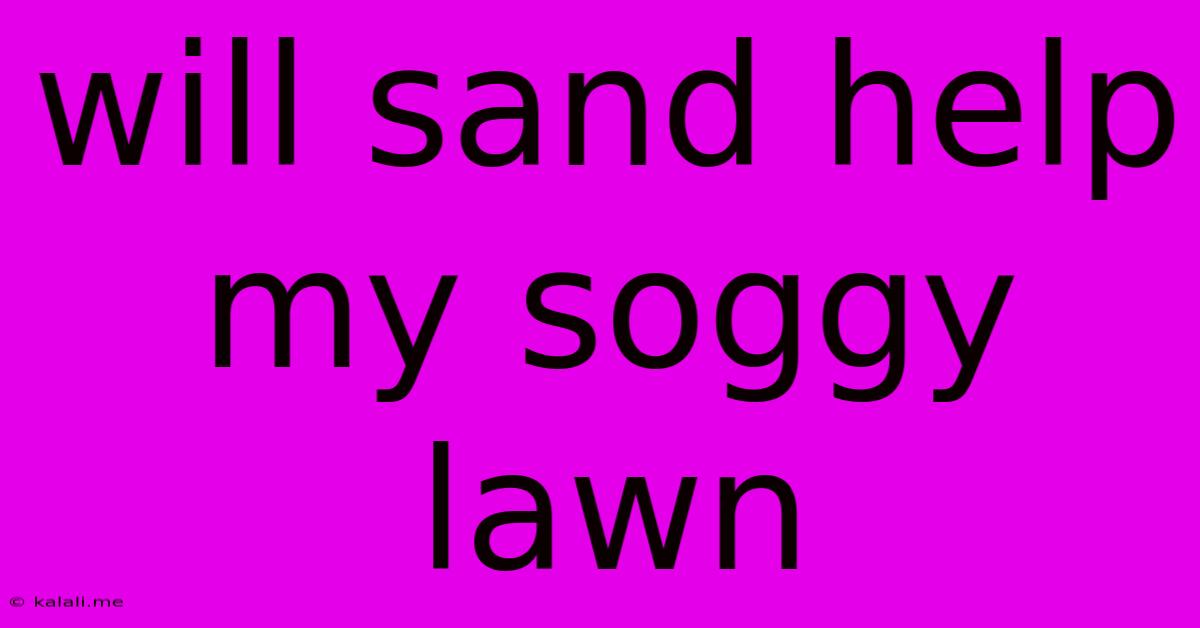 Will Sand Help My Soggy Lawn
