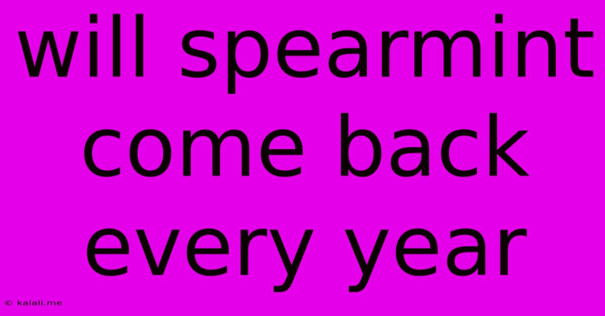 Will Spearmint Come Back Every Year
