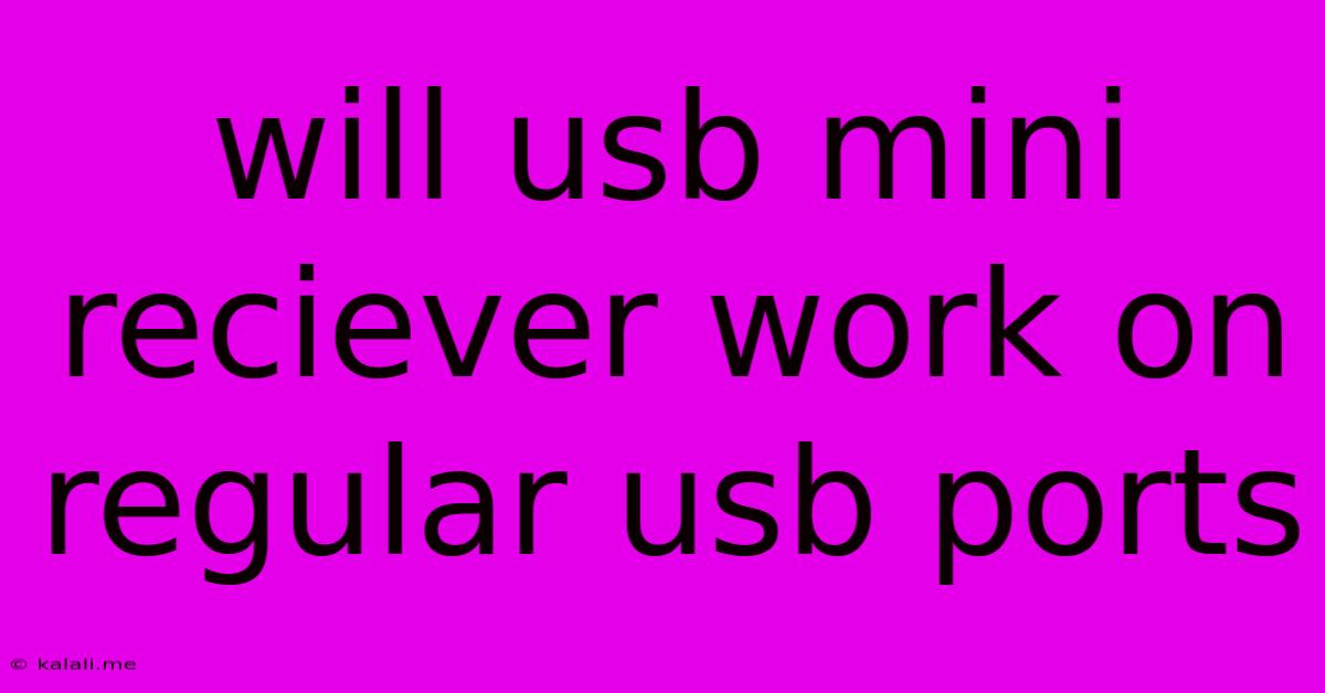 Will Usb Mini Reciever Work On Regular Usb Ports