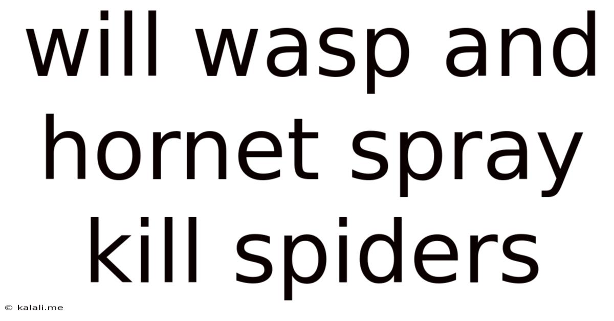 Will Wasp And Hornet Spray Kill Spiders