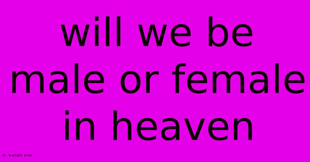 Will We Be Male Or Female In Heaven