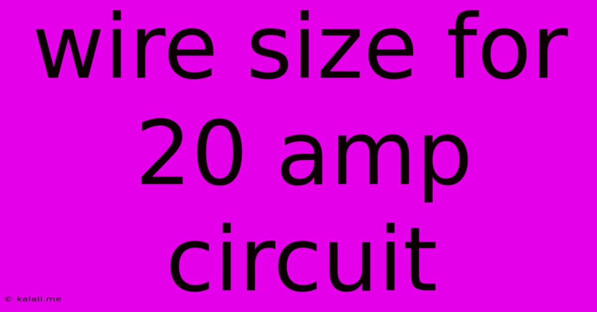 Wire Size For 20 Amp Circuit