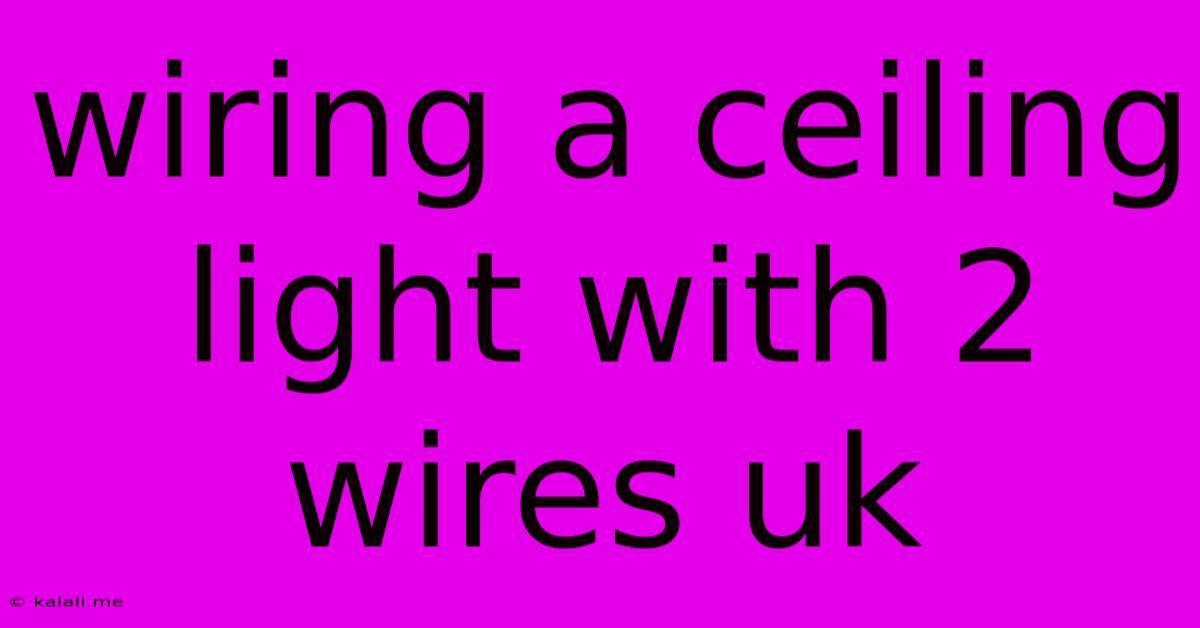 Wiring A Ceiling Light With 2 Wires Uk