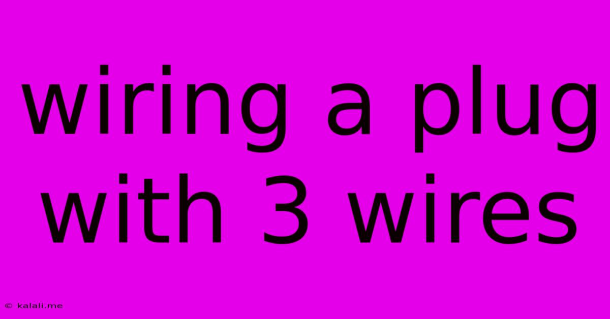 Wiring A Plug With 3 Wires