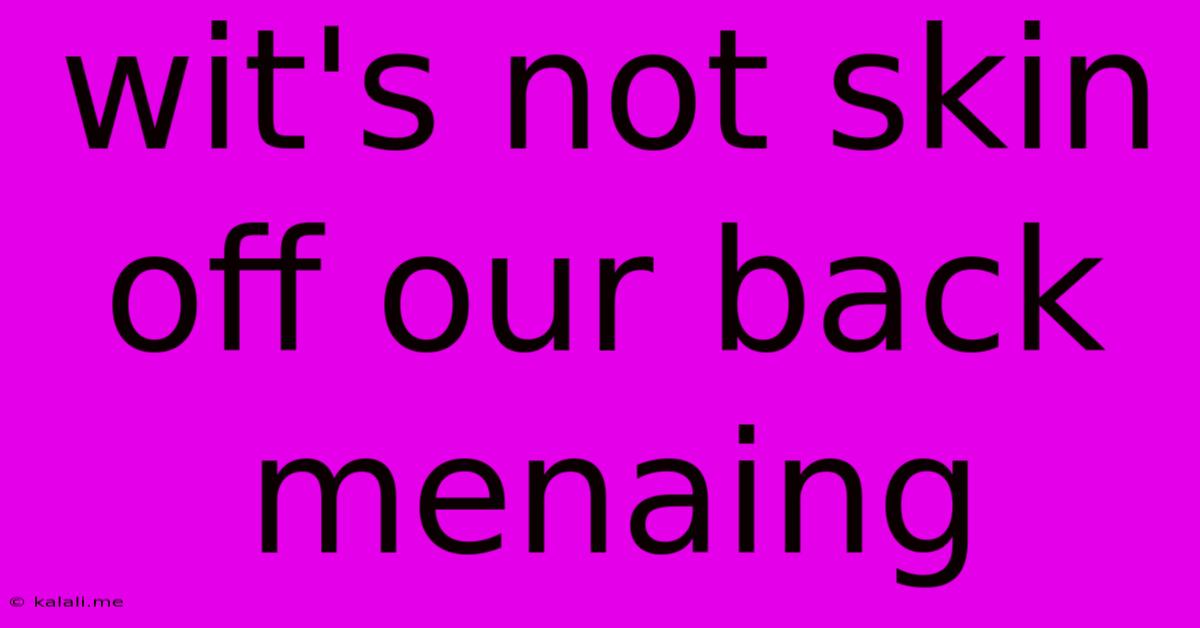 Wit's Not Skin Off Our Back Menaing