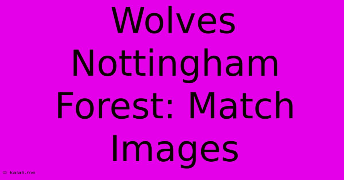 Wolves Nottingham Forest: Match Images