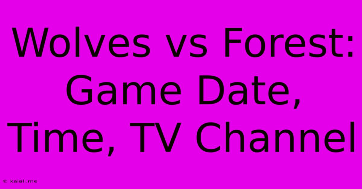 Wolves Vs Forest: Game Date, Time, TV Channel