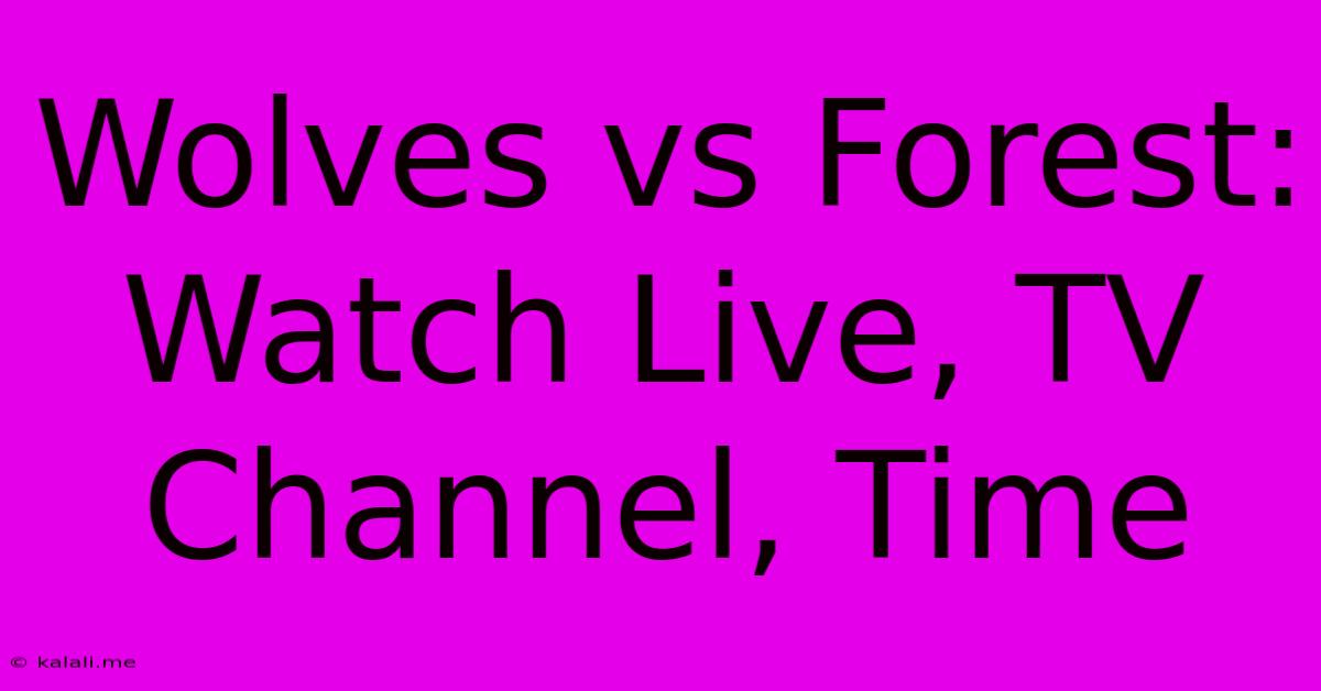 Wolves Vs Forest: Watch Live, TV Channel, Time