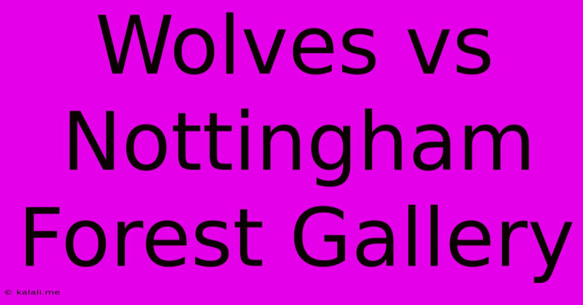 Wolves Vs Nottingham Forest Gallery