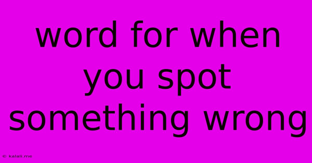 Word For When You Spot Something Wrong