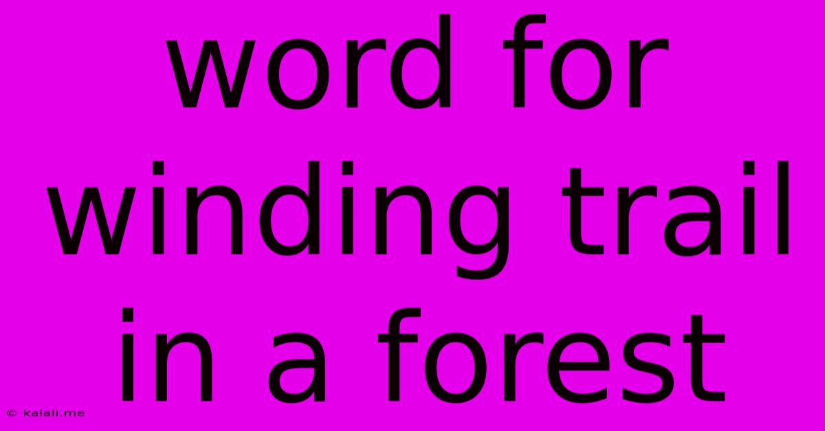 Word For Winding Trail In A Forest