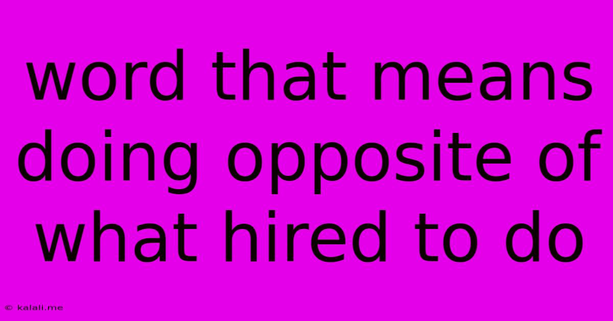 Word That Means Doing Opposite Of What Hired To Do